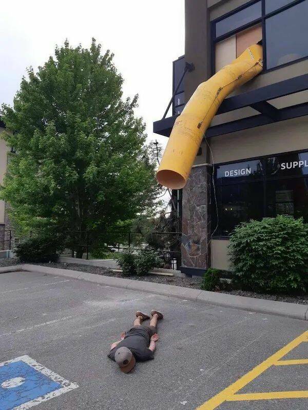 Daily Picdump Daily Picdump