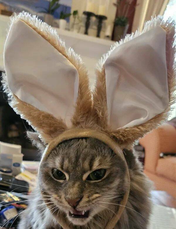 Daily Picdump Daily Picdump