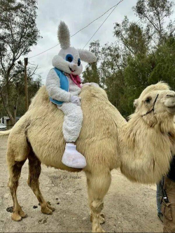 Daily Picdump Daily Picdump