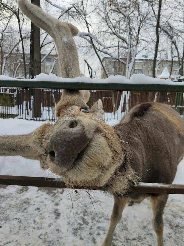 Daily Picdump Daily Picdump