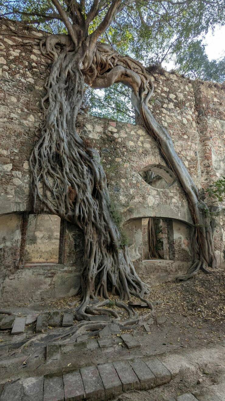 Daily Picdump Daily Picdump