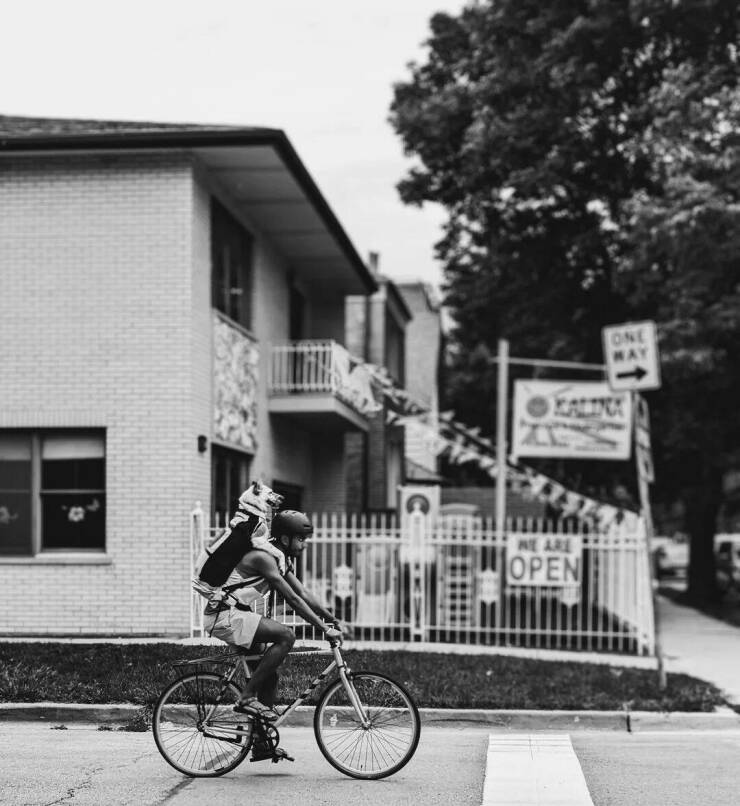 Daily Picdump Daily Picdump