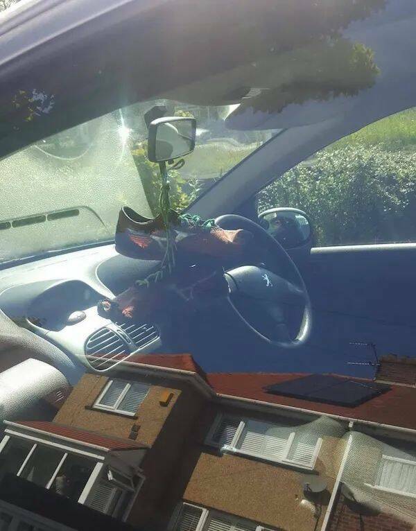 Daily Picdump Daily Picdump