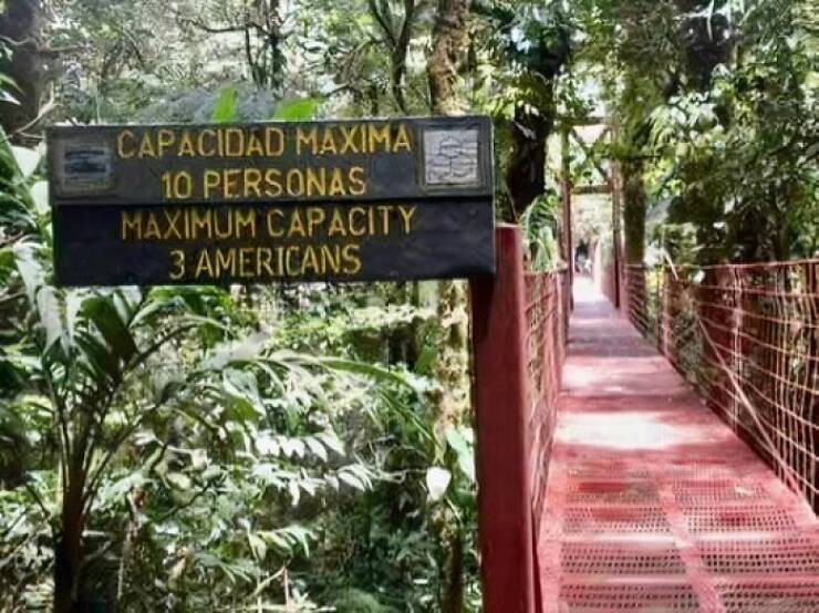 They Had One Job… And Failed Gloriously