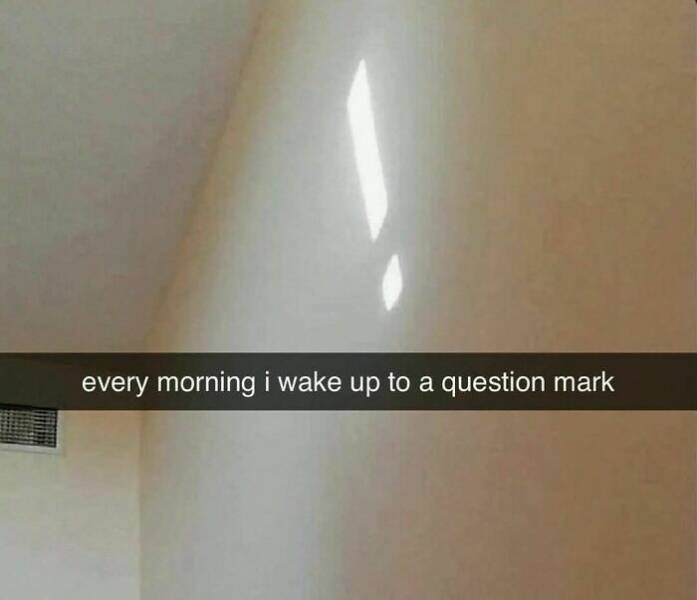 They Had One Job… And Failed Gloriously