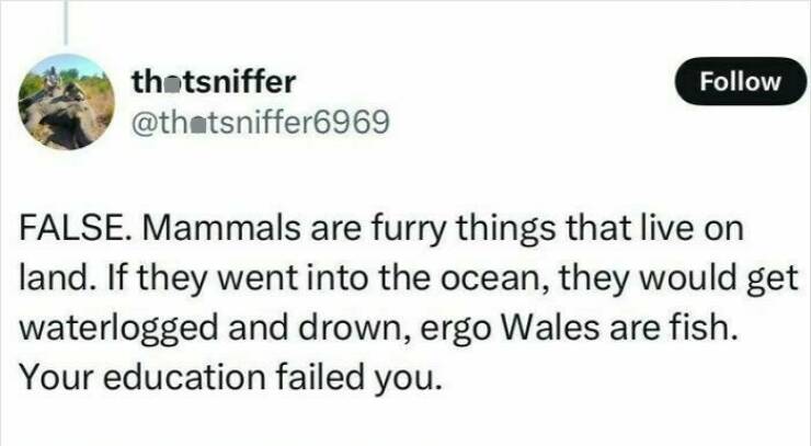 They Had One Job… And Failed Gloriously