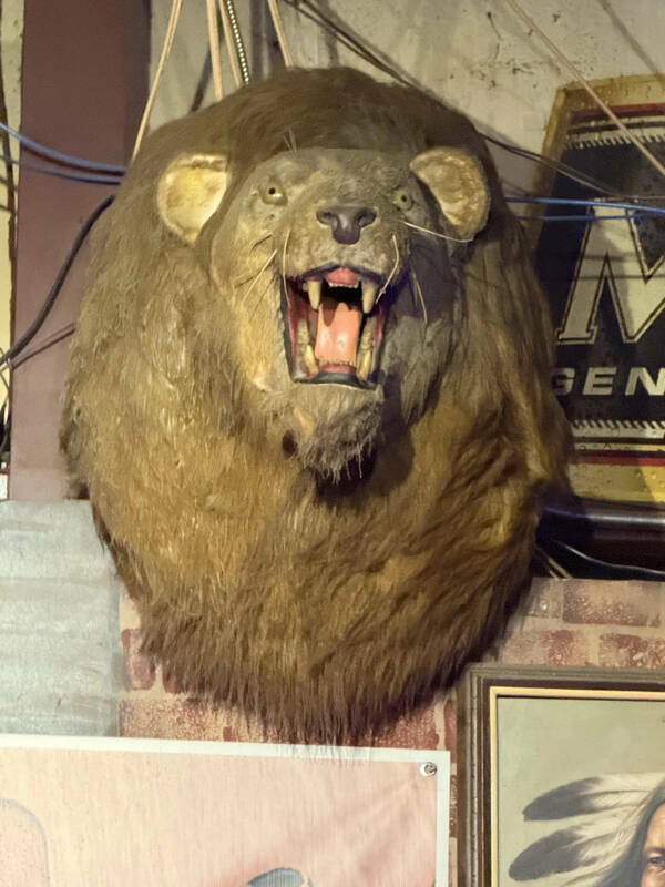 Well, That’s One Big NOPE!