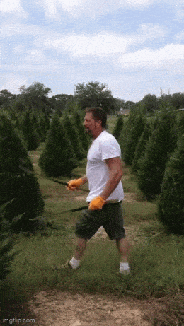 Daily Gifdump Daily Gifdump