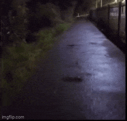 Daily Gifdump Daily Gifdump