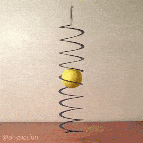 Daily Gifdump Daily Gifdump