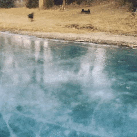 Daily Gifdump Daily Gifdump