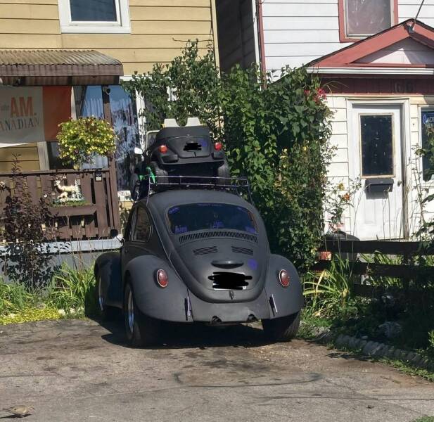 Daily Picdump Daily Picdump