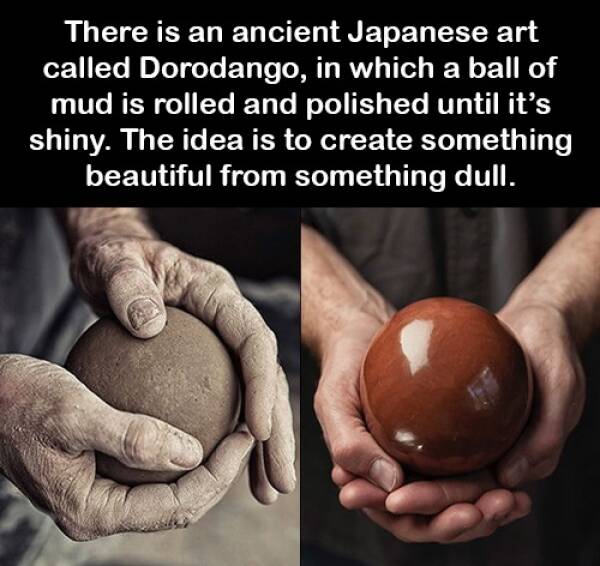 Daily Picdump Daily Picdump