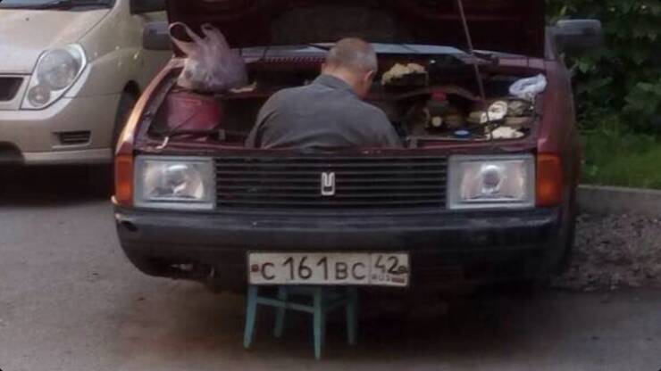 Daily Picdump Daily Picdump