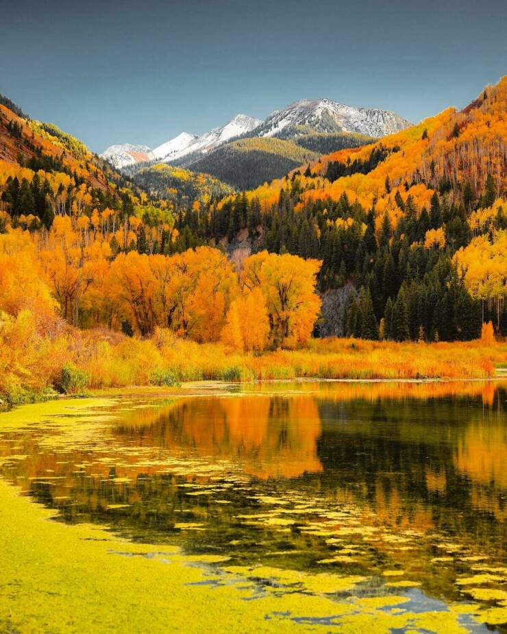 Daily Picdump Daily Picdump