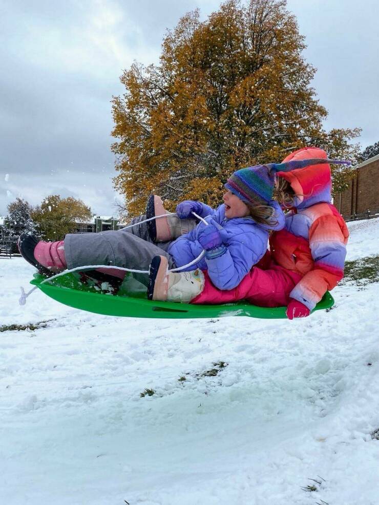 Daily Picdump Daily Picdump