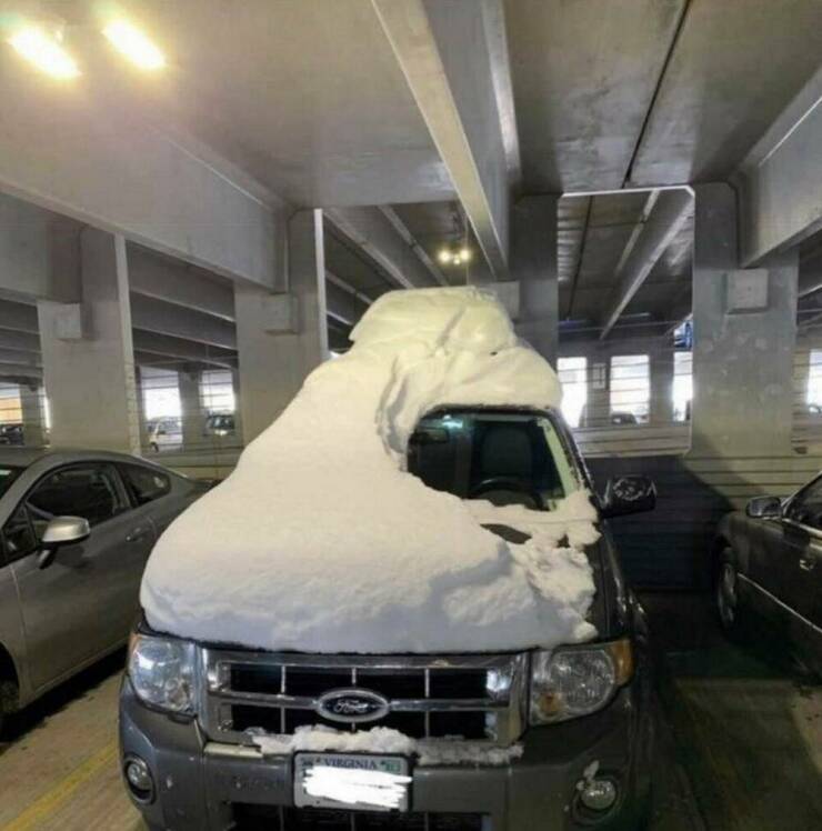 Daily Picdump Daily Picdump