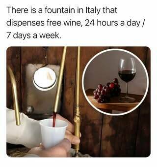 Daily Picdump Daily Picdump