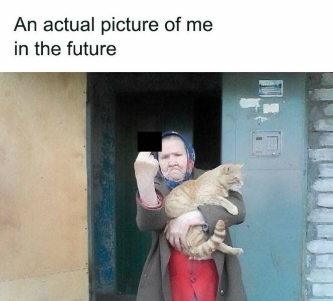 Hilarious Memes That Totally Feel Like You