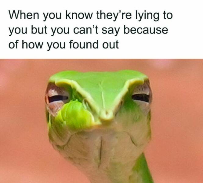 Hilarious Memes That Totally Feel Like You