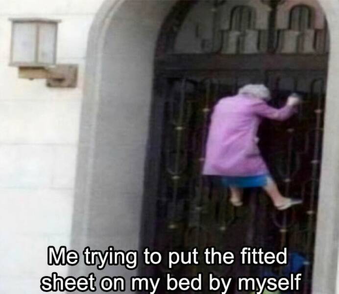 Hilarious Memes That Totally Feel Like You