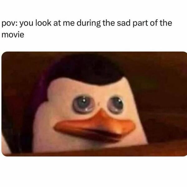 Hilarious Memes That Totally Feel Like You Hilarious Memes That Totally Feel Like You