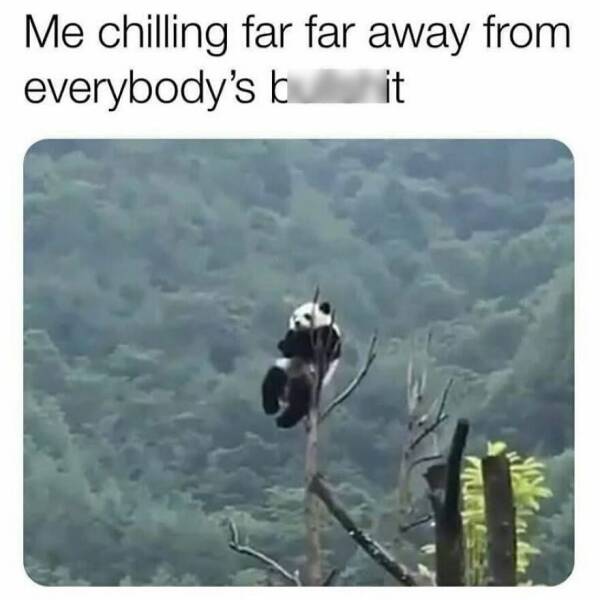 Hilarious Memes That Totally Feel Like You Hilarious Memes That Totally Feel Like You