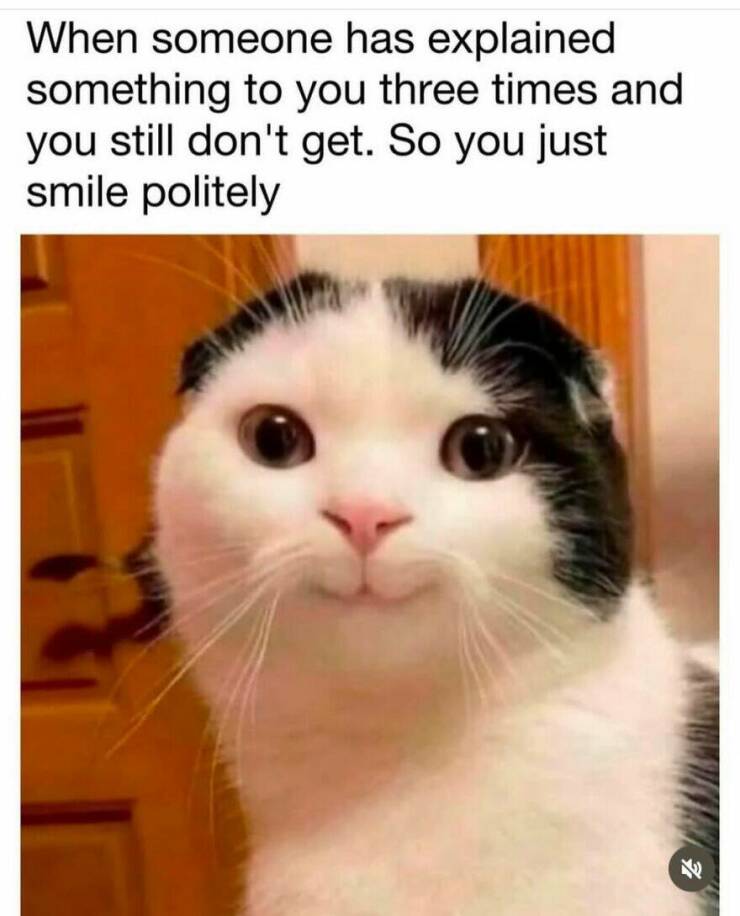 Hilarious Memes That Totally Feel Like You