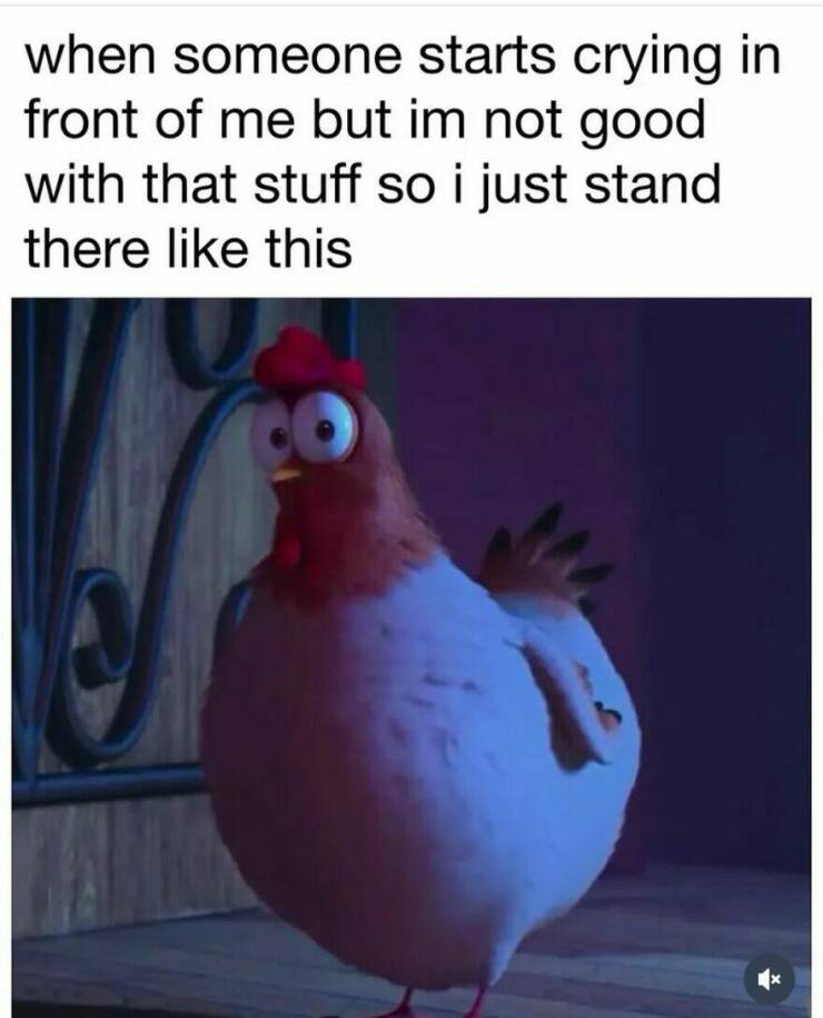 Hilarious Memes That Totally Feel Like You Hilarious Memes That Totally Feel Like You