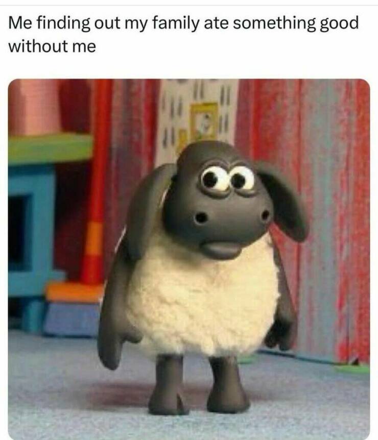 Hilarious Memes That Totally Feel Like You (48 PICS)