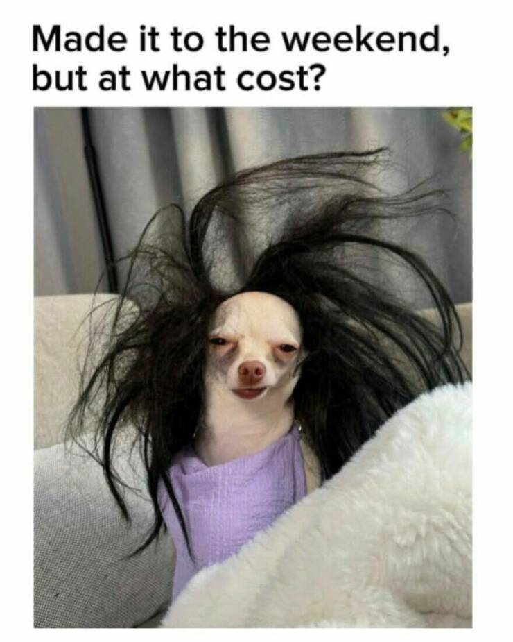 Hilarious Memes That Totally Feel Like You Hilarious Memes That Totally Feel Like You