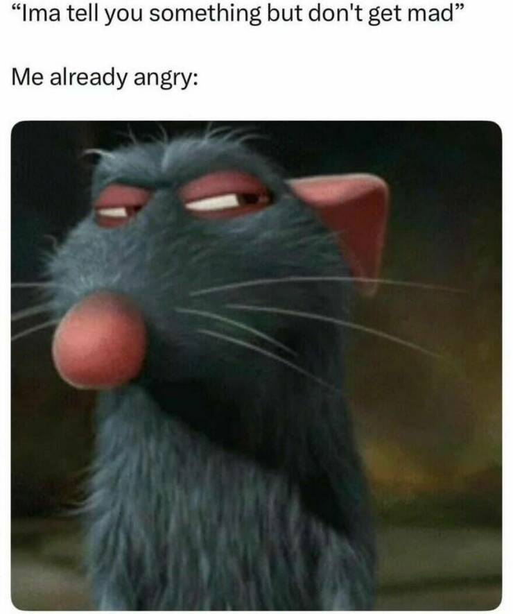 Hilarious Memes That Totally Feel Like You Hilarious Memes That Totally Feel Like You