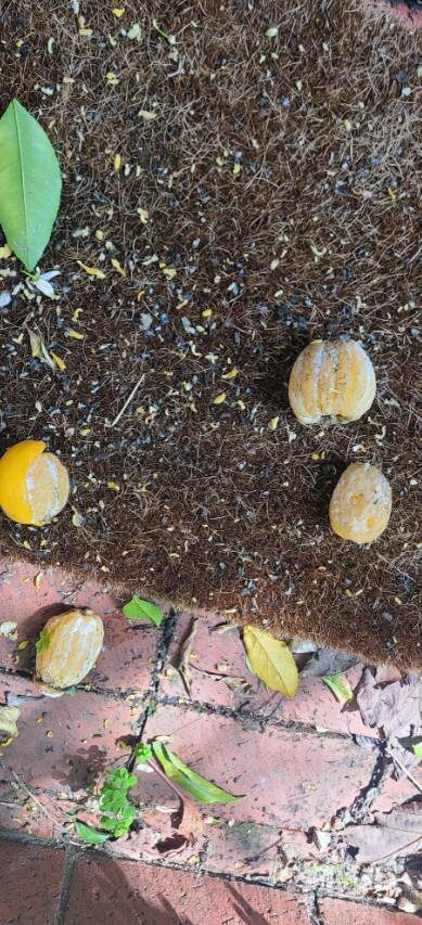 Satisfyingly Subtle Oddities From Everyday Life