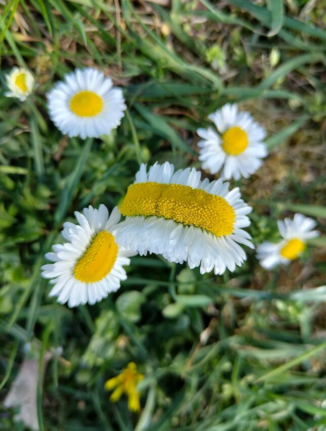 Satisfyingly Subtle Oddities From Everyday Life