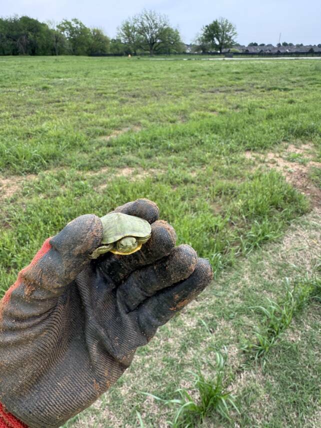 Satisfyingly Subtle Oddities From Everyday Life