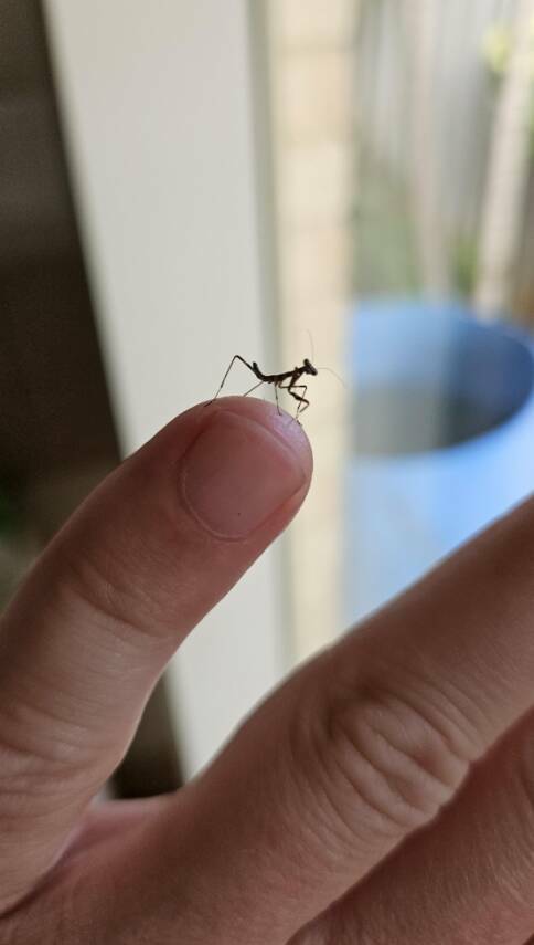 Satisfyingly Subtle Oddities From Everyday Life