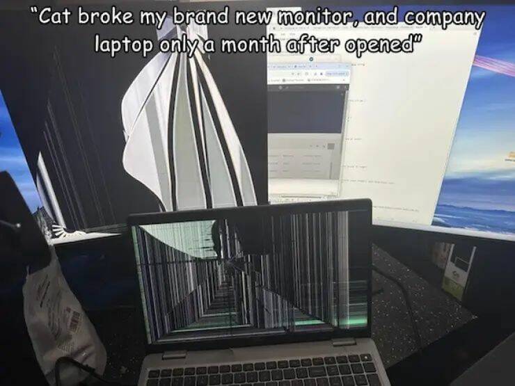 Well…That Escalated Quickly…