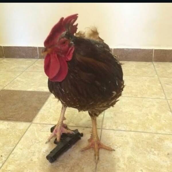 Well…That Escalated Quickly…