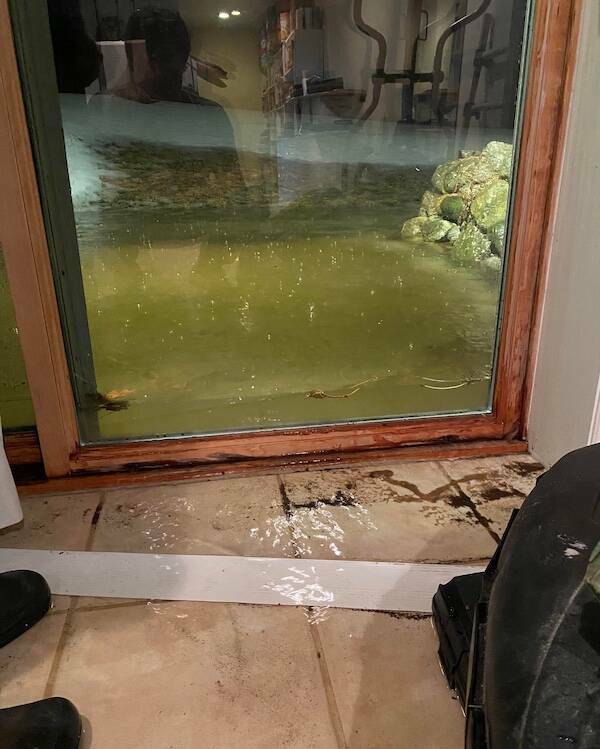 Well…That Escalated Quickly…