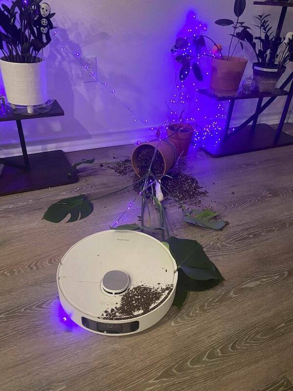 Well…That Escalated Quickly…