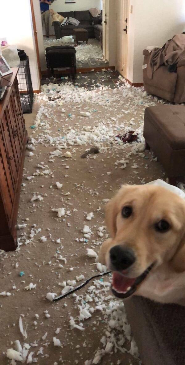 Well…That Escalated Quickly…