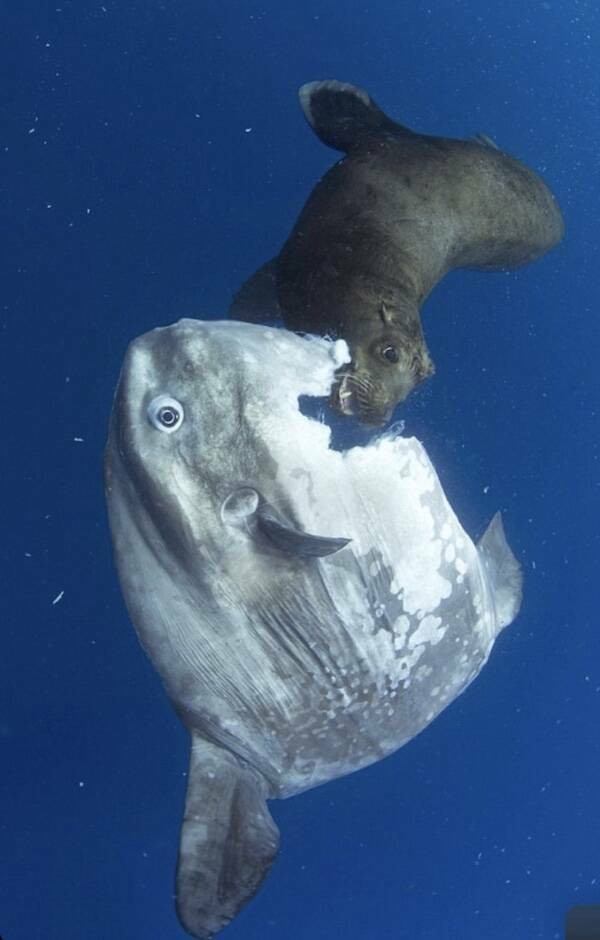 Well…That Escalated Quickly…