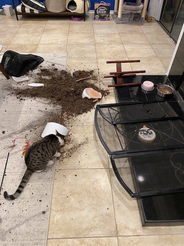 Well…That Escalated Quickly…