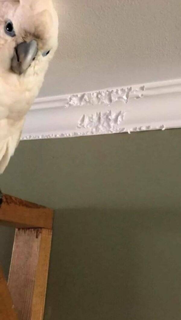 Well…That Escalated Quickly…