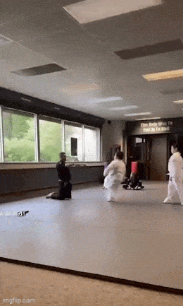 Daily Gifdump Daily Gifdump