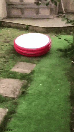 Daily Gifdump Daily Gifdump