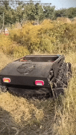 Daily Gifdump Daily Gifdump