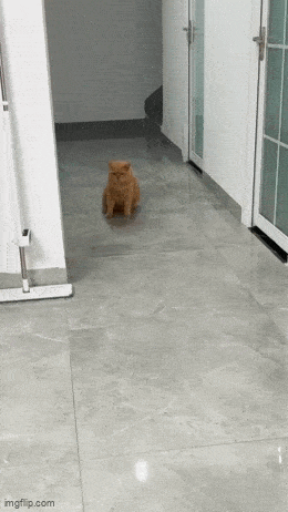 Daily Gifdump Daily Gifdump