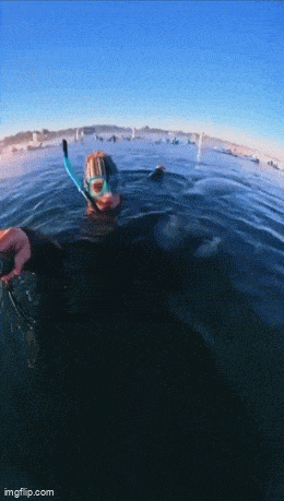 Daily Gifdump Daily Gifdump