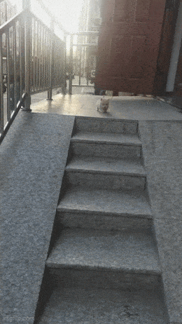 Daily Gifdump Daily Gifdump